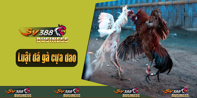 Luật đá gà cựa dao