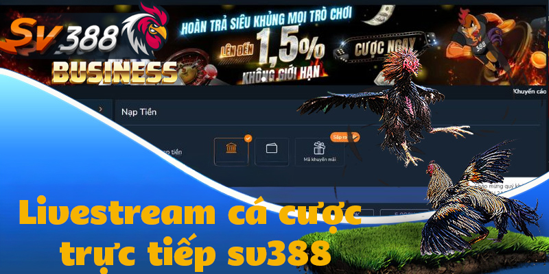 Livestream cá cược trực tiếp tại nhà cái sv388